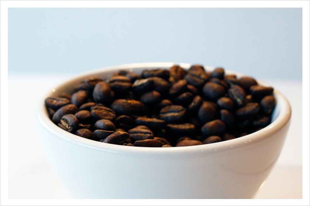 roasted coffee beans in a white bowl