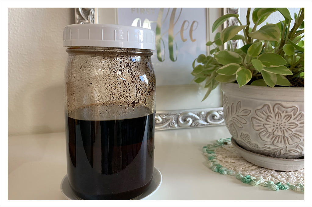 DIY Cold Brew Coffee Bags — Fried Dandelions — Plant Based Recipes