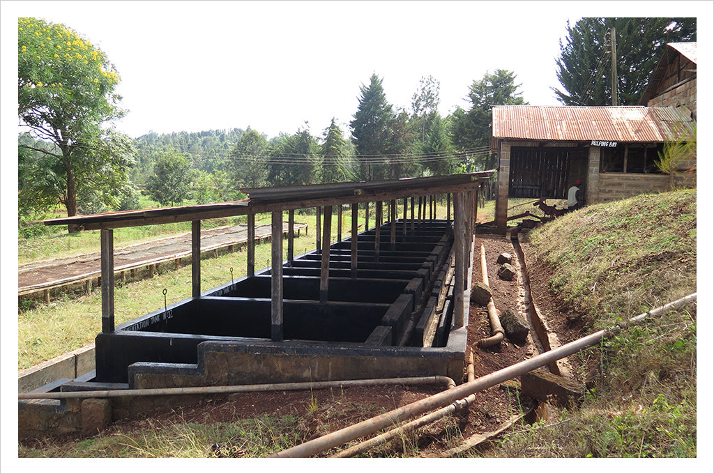 coffee processing station in Kenya