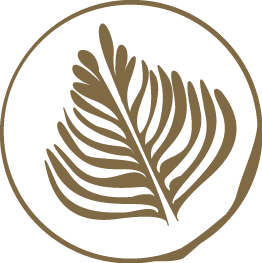 A minimalist latte art leaf emblem inside a circular frame on a white background.