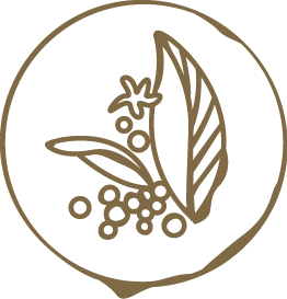 Latte art stamp in brown signifying organic and fair trade